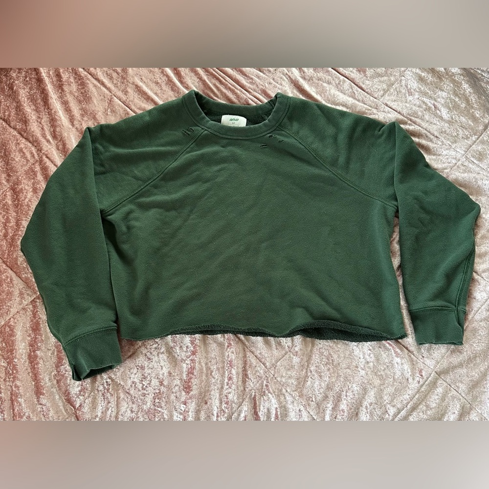 American Eagle Distressed Cropped Sweatshirt